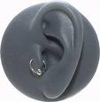 Tragus Piercing - It's the tragus piercing.