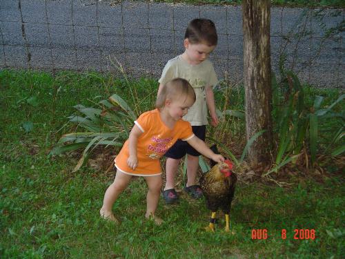 daniel& morgan  - daniel and morgan with the rooster