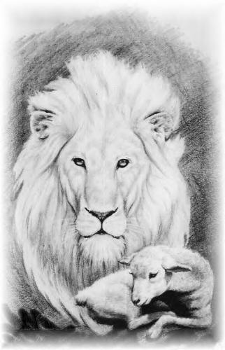 Lion and the Lamb - Nice sketch by my X of how life should be. We should all get along like that.