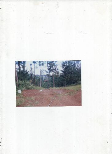 eco-tourism festival - near mt. apo