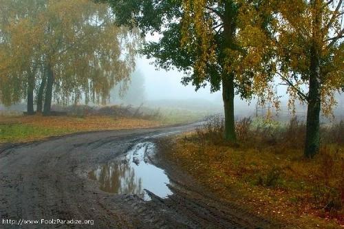 After rain