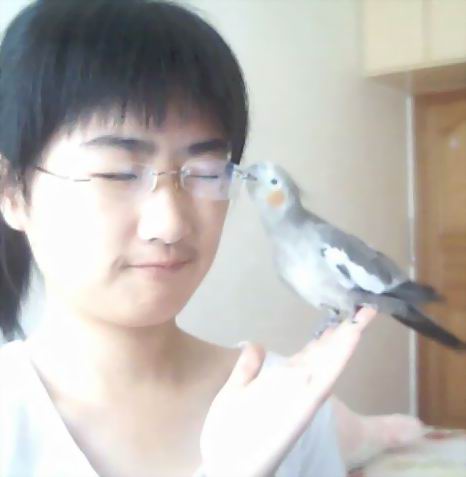 parrot - when I was in high school~~It come to my home for a few days~~^-^
