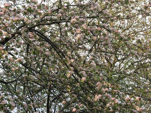 Spring - Spring...