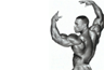 Building Arms - Body building