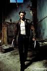 wolverine