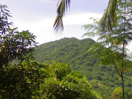 Beutiful Mountain By Our Window.. - Lovely Mountain view and great breakfast with freshly brewed coffee in the morning together with your family and love one is the most perfect moment i ever wanted. how about you guys.