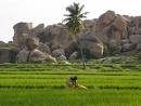 2007 Study Abroad Photo Contest Winners - Woman Farming