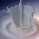 milk - Photo of Milk ...