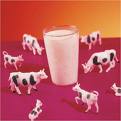 milk - Photo of Milk ...