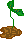 A tiny plant - A seedling