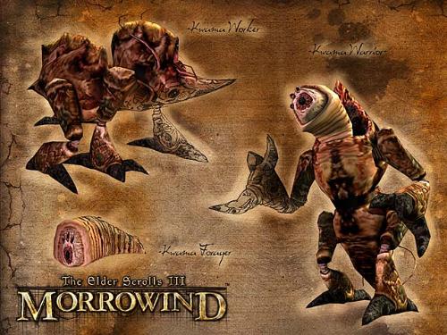 Kwama - Kwama is a Morrowind creature, used to produce eggs.
