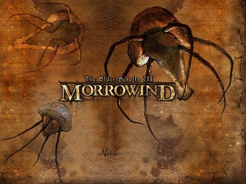 Netch - The Netch is a water Morrowind creature