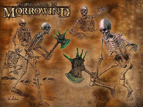 Skeleton - The Skeleton is an un-dead creature from Morrowind.