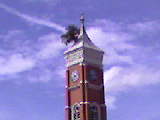 Greensburg,Indiana Historic Tower Tree - This is Greensburg,Indianas legendary tower tree