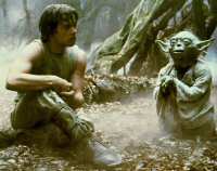 skywalker - luke skywalker