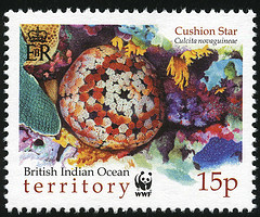 superb - 2001 wwf british indian ocean teritory - cusion stars