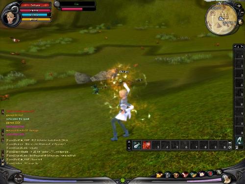 Shaiya Mage - Mages use powerful spells to subdue their enemies.