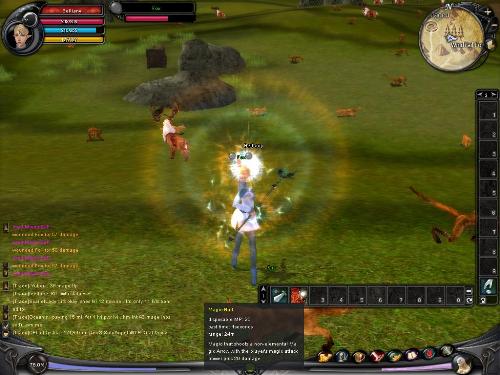 Special Effects - Shaiya have excellent graphics as seen here where a mage is casting a spell.