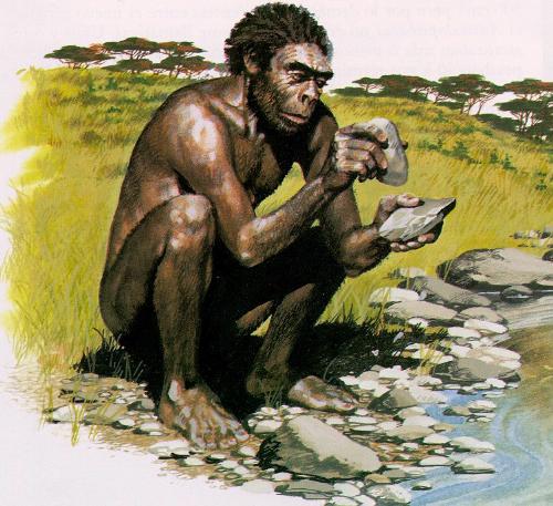 Homo habilis - human ancestor - homo habilis... a human ancestor!
