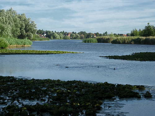 Gentofte lake, Denmark - Gentofte lake, Denmark