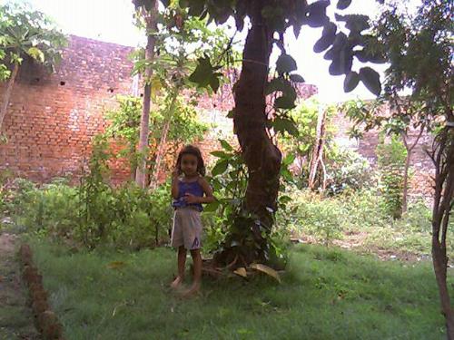 Khushi - Khushi