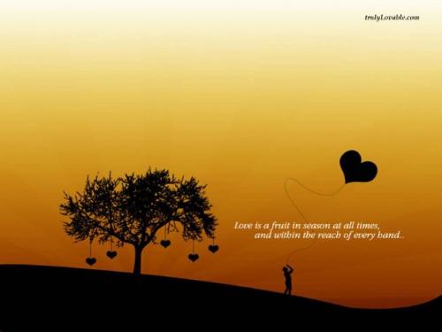 love - love is a butiful thing in the world