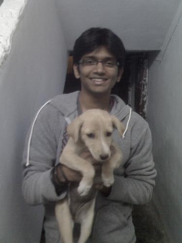 pet - thats mah cutipie winnie.