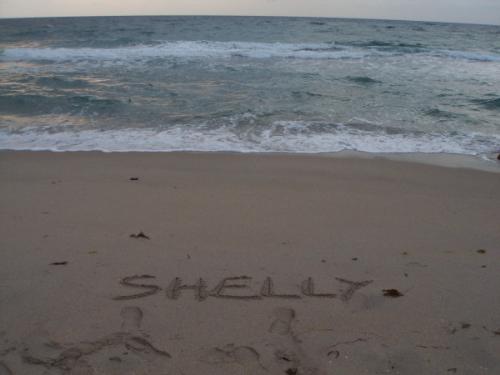 Shelly - My name on the sand by ossy