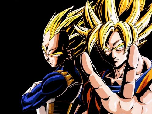Goku and Vegeta - Two most favorite characters from Dragon Ball Z.