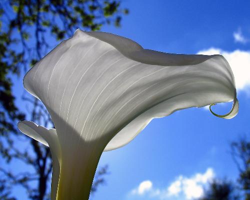 Natural Beauty - Beauty of Nature