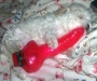 simply nice - its new collection which i have