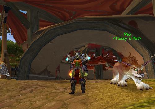 My character-World of Warcraft - Me and Mo