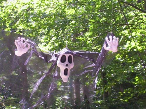 Halloween Pic - Another pic from our Halloween Party.