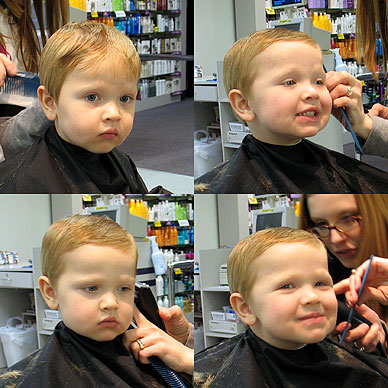 haircut - a kid getting his hair cut
