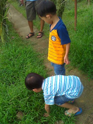 Pretending to be farmers - We went to this orchid plantation and they saw some grasses and pretend they were farming