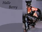 Halle berry - catwoman
