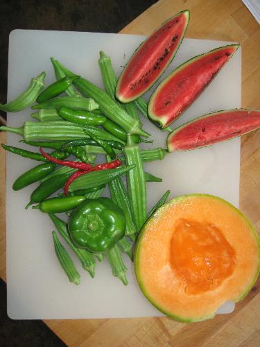 free from our garden - It's very nice to have vegetables free from our garden..LOL!