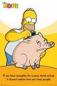 pig and pork - homer and pig