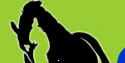 Has Anyone Here Been Paid By GreenHorse Pay Per Su - green horse pay per surf