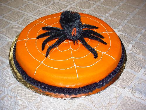 Halloween Cake - This is a cake I did for a friend's Halloween Party. It's a 14 inch white cake with buttercream icing. I piped on the spider web and put a huge spider that I bought at Big Lots on top. It was the hit of the party.