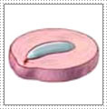 disc  - this is a disc between two vertebrates