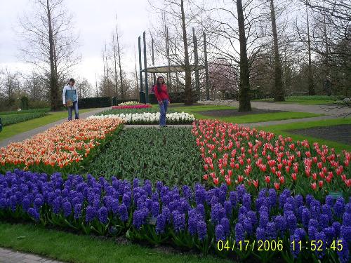 Flowers in Netherlands - This park in Netherlands blooms with a variety of colors. It is a refreshing place to be, a peaceful hide-away from the noisy and busy city life.