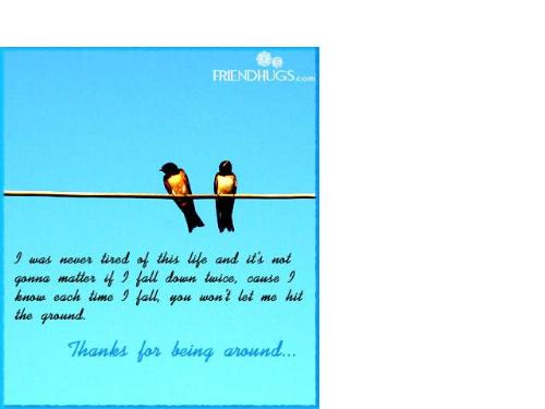 birds - thanx for being around