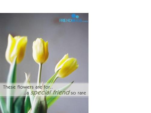 special - these flowers r special
