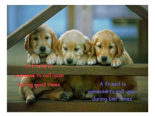 true friend - friends are for ever