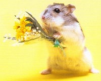 he wants to give u a gift - he has some flowers for u!