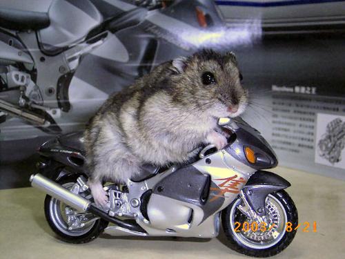 a motor driving hamster - he goes about 300k/m !
