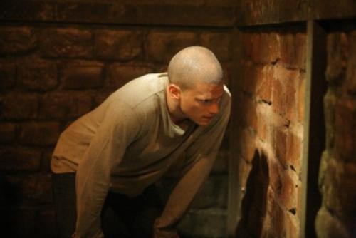 Michael Scofield/Wentworth Miller - The protagonist and the main character, younger brother of Lincoln Burrows. He designs an escape plan to free his older brother and save his life as well as his own. He successfully executes this plan, but fails to evade the police in Panama. Recently has escaped from Sona prison. In season 4, he reunites with Sara after discovering she is in fact still alive, and is now part of Self's covert 'A-Team' assembled to bring down The Company.
