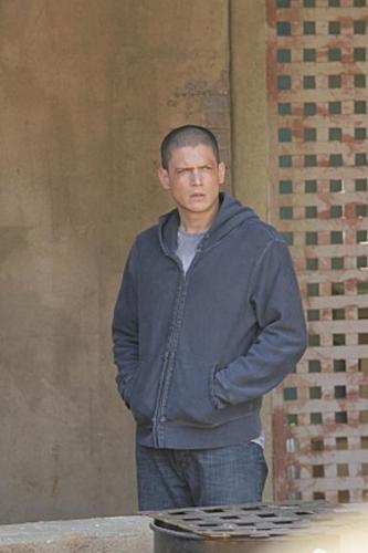 Michael Scofield/Wentworth Miller - The protagonist and the main character, younger brother of Lincoln Burrows. He designs an escape plan to free his older brother and save his life as well as his own. He successfully executes this plan, but fails to evade the police in Panama. Recently has escaped from Sona prison. In season 4, he reunites with Sara after discovering she is in fact still alive, and is now part of Self's covert 'A-Team' assembled to bring down The Company.