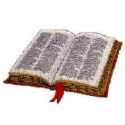 The Bible - Bible Picture